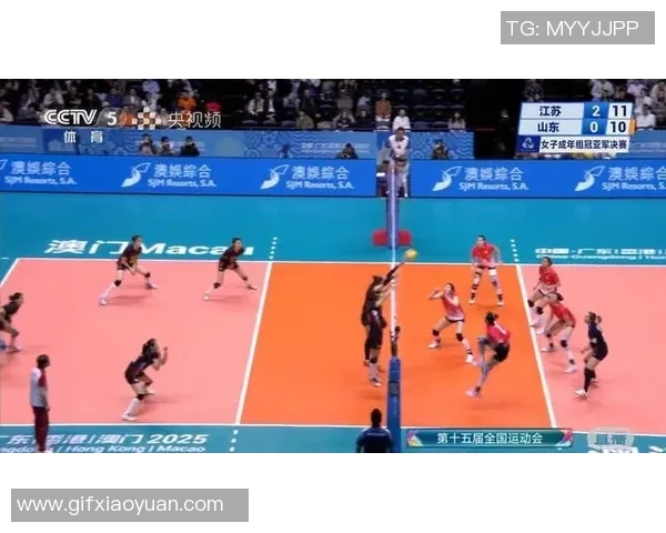 南京排球队领跑最新排球速度TOP10榜单引发热议